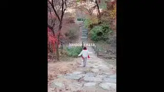 shortsvideo  MashMash  yearofYou