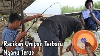 Umpan Racikan Baru! Untuk Gt Lele. Auto Ngamplop