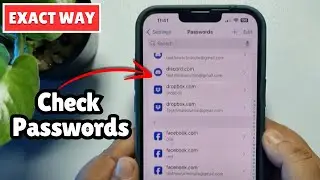 How To Check Passwords On iPhone (ALL WAY)