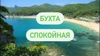 Бухта 