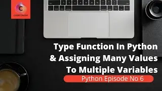 What Is Type Function In Python | Assigning Many Or One Value To Multiple Variables