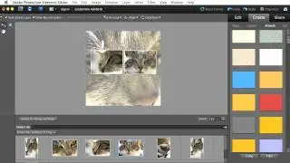 Creating and Sharing a Photo Collage with Photoshop Elements 10