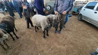 22 октября 2023 г. ТУРТКУЛЬ КУЙ БОЗОРИ