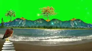 ocean waves green screen sound effect / Free stock video background 2022