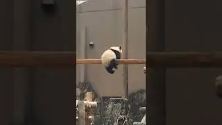 Когда устал от новостей