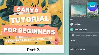 Canva Photos & Illustrations Tutorial for Beginners | How to Add and Edit Images in Canva | Part 3