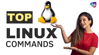 Top Linux Commands to learn - Basic Linux commands - Chat GPT