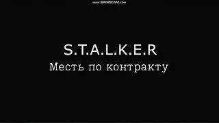 S.T.A.L.K.E.R Месть по контракту. Спасение отряда