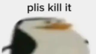 memes I stole from the internet #1