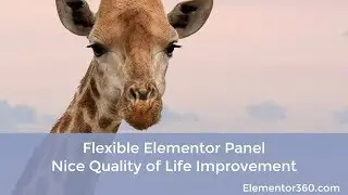 Flexible Elementor Panel - Nice Quality of Life Improvement