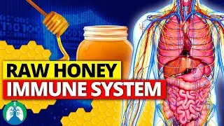 ⚡ TAKE Raw Honey Daily to Help Boost Your Immune System