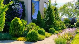 🌸Нежные Нотки Цветочного Дворика 🏡Горшечный Садик. Жизнь за Городом🌲Покупки для Дома #garden #цветы