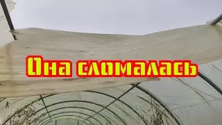 30 Марта 24г. Уборка теплицы.