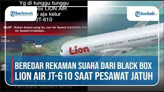 Beredar Rekaman Suara dari Black Box Detik-detik Pesawat Lion Air JT-610 Jatuh