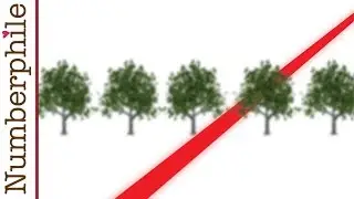 Tree Gaps and Orchard Problems - Numberphile