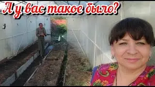 А у вас такое было? Совпадение или нет? Сад и огород на болоте. Жизнь семьи в деревне.