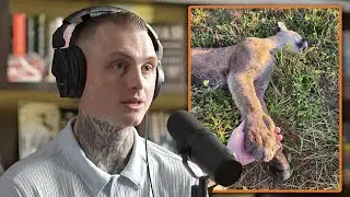 The Coming Extinction of Florida Panthers: One Thing We Still Can't Stop | Harry Turner
