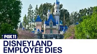 Disneyland employee dies