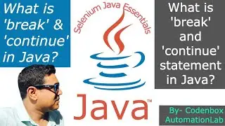 Java- Break & Continue: What is break and continue statement in Java? How to use them?