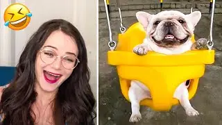 Reactions to the Funniest Animal Videos 😂 Try not to laugh Challenge