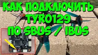 How to connect Tyro129 via SBUS and IBUS to the receiver. We solder the necessary contacts.