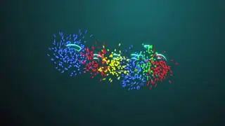 Simple Particle Logo animation Template | After effects Template