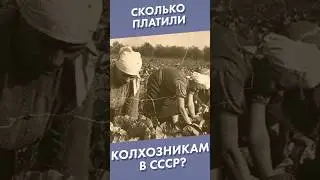 Сколько платили колхозникам в СССР? #shorts #ссср