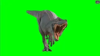 Dinosaur green screen chroma key Effect hd video | Crazy Editor