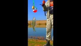 ПОЙМАЛ ОГРОМНОГО ТОЛСТОЛОБА!)))