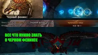 Черный феникс вызов гайд black desert