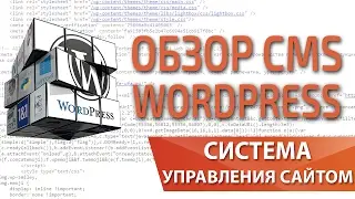 Обзор преимуществ и недостатков CMS Wordpress 2017 — Максим Набиуллин