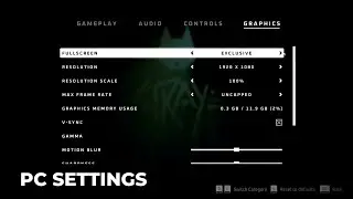 BEST STRAY GRAPHICS SETTINGS (PC)