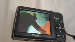 Маша и Медведь - Репетиция оркестра - Играет пианино
