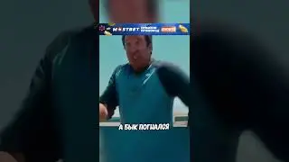 Решили потягаться в скорости с быком 😂