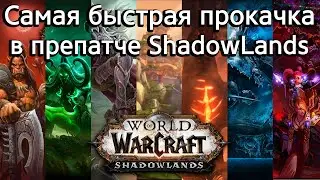 Самый лучший континент для быстрой прокачки в препатче World of Warcraft: ShadowLands