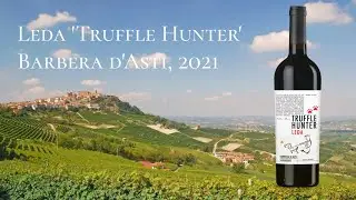 Вино из Ароматного Мира за 799 руб. | Truffle Hunter Leda Barbera d'Asti, 2021