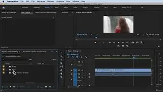 How to Move Bins in Project Panel