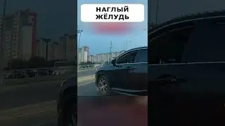 ПРИВЫК что ВСЕГДА он ПРАВ😎