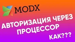 Авторизация через процессор | Про авторизацию