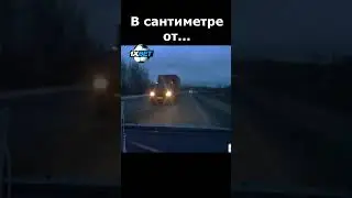 Газель без принципов 