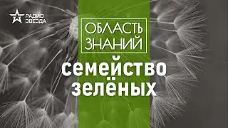 Какие растения и почему будут исчезать в Европейской части России? Лекция Натальи Решетниковой