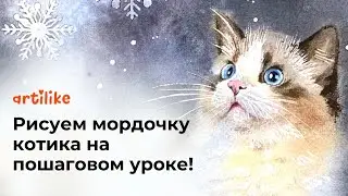 Как нарисовать мордочку кота | Как нарисовать кошку акварелью | Как нарисовать кота пошагово