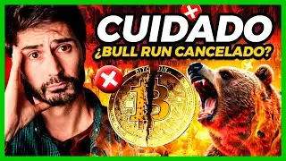 ¿Se terminó el Bull Run Cripto? La venta Masiva de Bitcoin acaba de empezar…