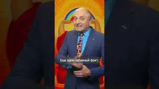 Забавный факт о медитациях💯 Мудрость веков 