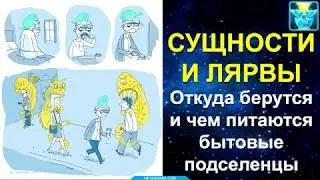 Лярвоведение. Откуда берутся и чем питаются бытовые сущности