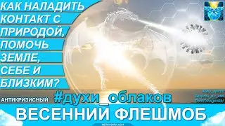 Как помочь себе и Земле?  Живая природа и Духи облаков