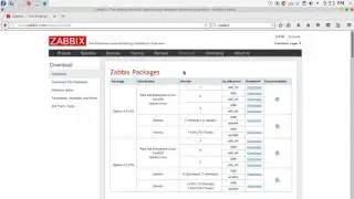 2  ZABBIX monitoring  servers and network devices