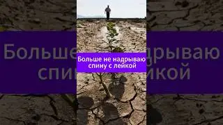 Больше не надрываюсь с поливом огорода  