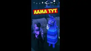 🦙 Нашел дом у ламы 🦙 