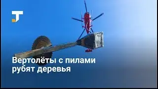 В США используют вертолёты с пилами для рубки веток деревьев